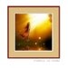Flight Of Fancy - fine art digital print computer graphics photo alteration interior surreal fantasy home decor yellow orange sunshine brown