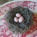 Bird Nest Shabby Chic Handmade Rustic Woodland with Pink Eggs Mothers Day Gift or Baby Shower Decor by AMarigoldLife