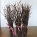 Natural BIRCH Twigs, rustic decor,  Event Centerpieces.  Crafting