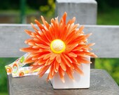 Spring has sprung on a headbeand