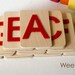 Raised Felt Alphabet. On Wood. Uppercase Set. With Acorn Pouch.
