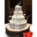 20" Tree Slab Cake Stand Aspen