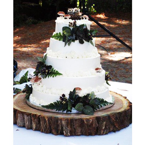 20" Tree Slab Cake Stand Aspen