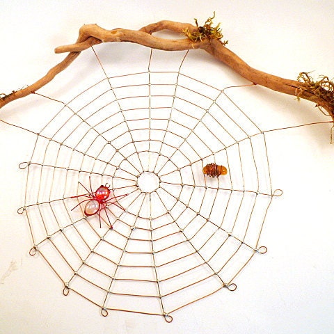 Driftwood and Spider Web With Red Spider