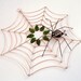 Small Handmade Octagon Spider Web With Black Spider