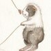 Double Dutch - Cute Guinea Pigs Jumping Rope Art Print 8x10