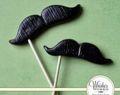 Mustaches on Sticks - The Hairy Pair - Set of 2 Il_170x135