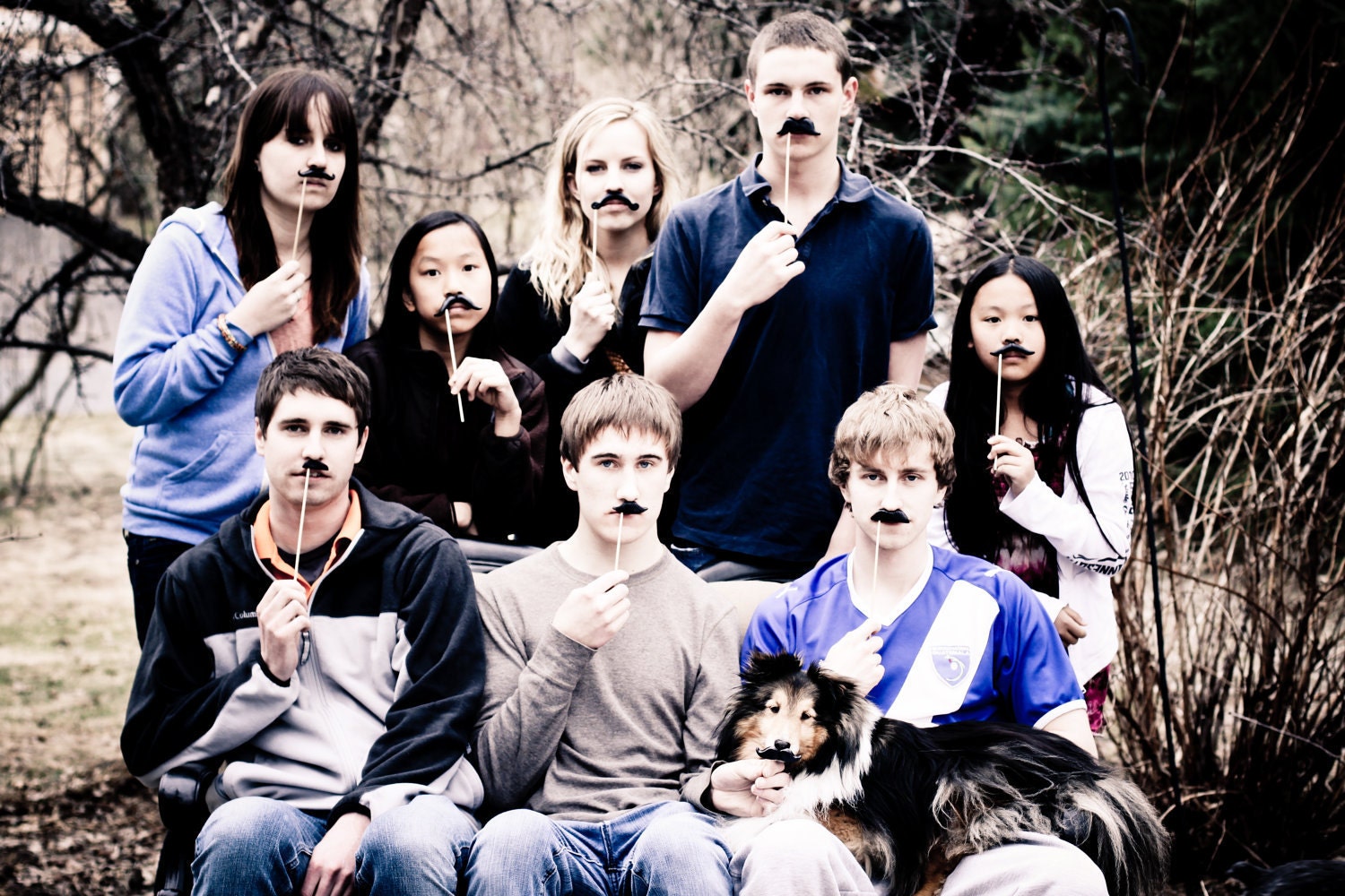 Plastic Mustaches on Sticks - The Evening Soiree - Set of 10
