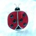 Ladybug