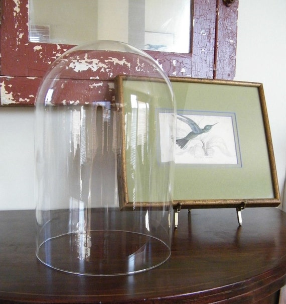 Large Glass Display Dome