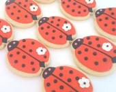 Lucky Ladybugs (1 dozen)