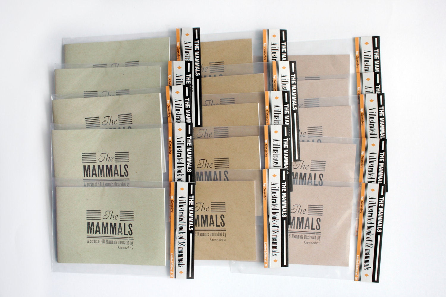 The mammals - illustrated book - zine - vintage