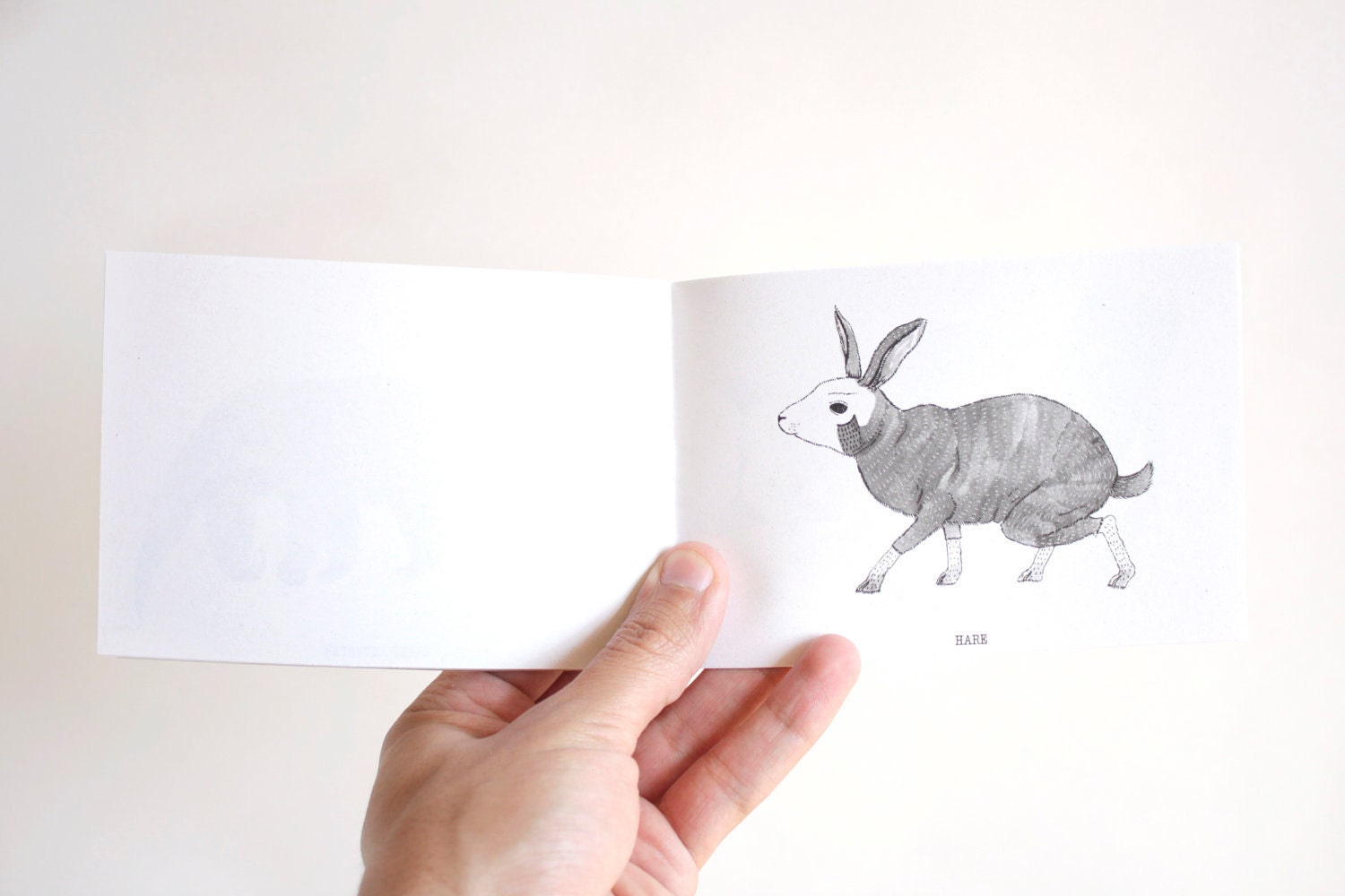 The mammals - illustrated book - zine - vintage