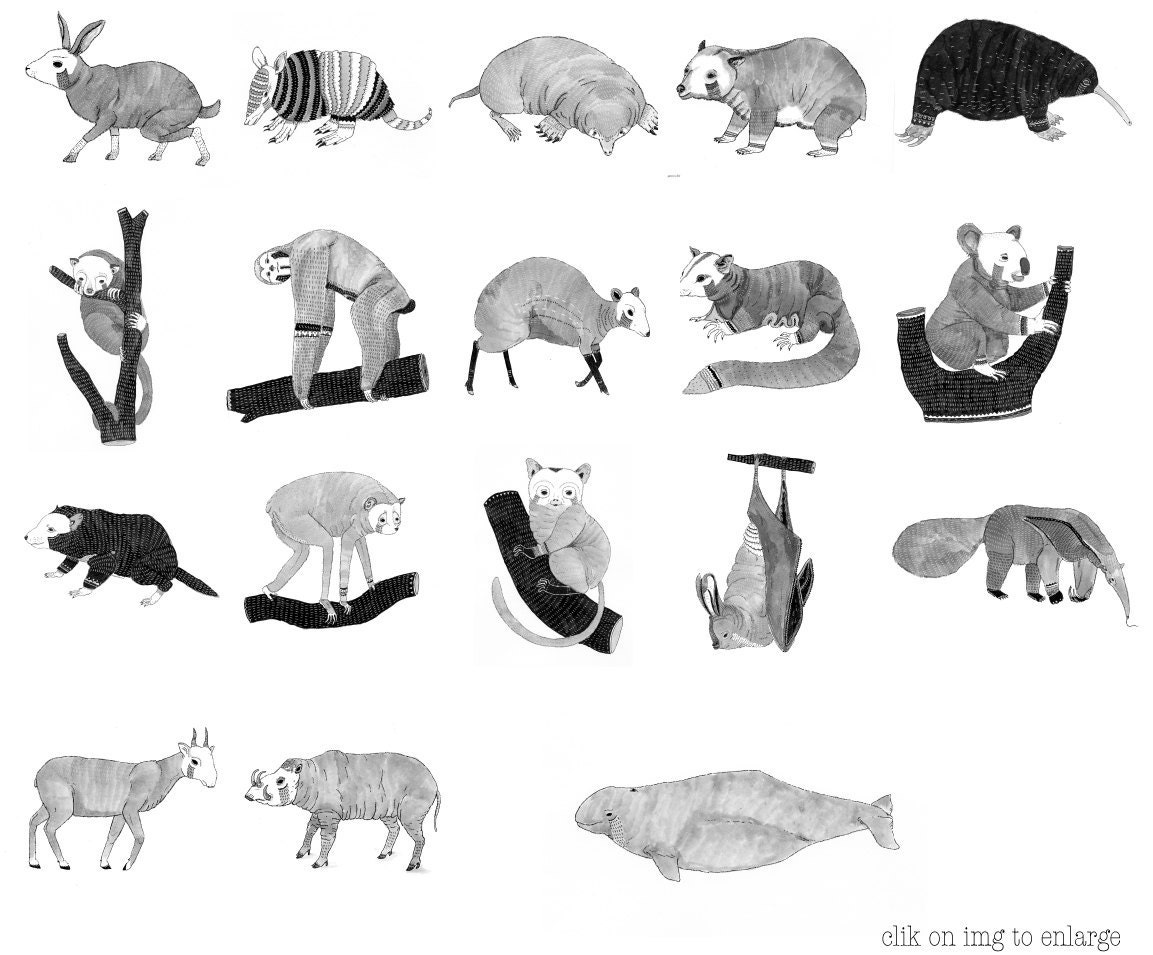 The mammals - illustrated book - zine - vintage