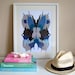 IKAT USA Butterfly Print A3