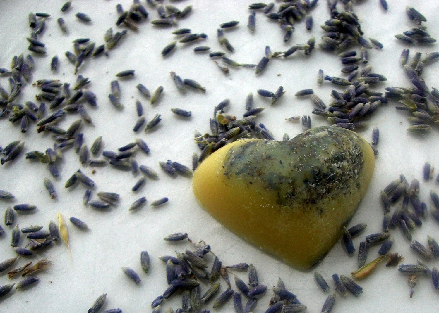 Cocoa Lavender Bath Melts by Veve's Handmade