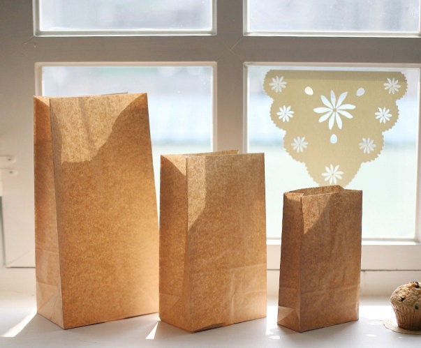 Basic Kraft Paper Bags - M (30 bags)