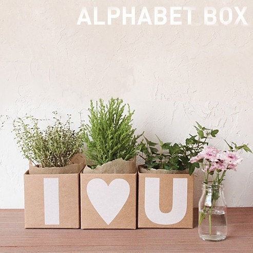 Kraft Decor Clean-Up Box (Alphabet, 1 box choose)