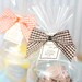 Check Ribbon Tag Clear Tie for Gift Wrapping - Choco (5 pcs)