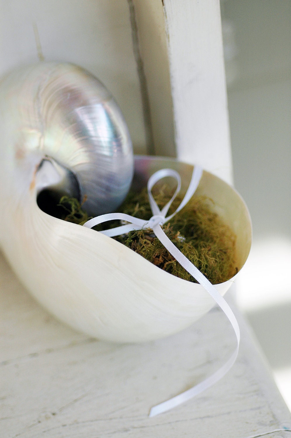 Stunning Nautilus Shell Ring Bearer Pillow Alternative for Your Beach / Seaside/ Destination Wedding