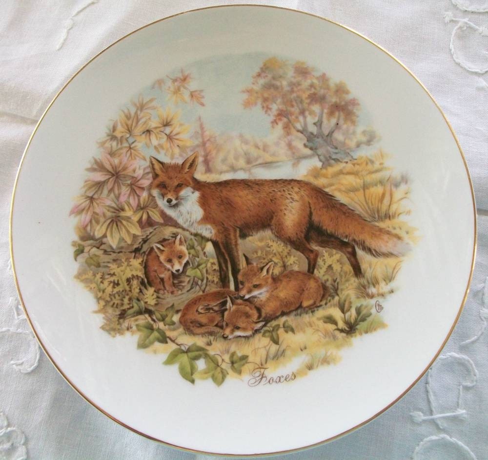 Red Fox and Kits 6 inch Vintage Porcelain Plate