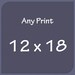 Any 12 x 18 print