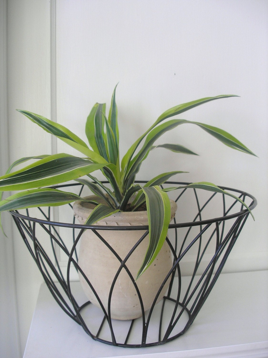 Wire Basket