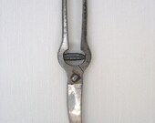 French Kitchen Shears