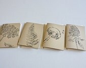 Set of 8, blank note cards. 9 envelopes. Pretties. Queen Ann and Clover. Fern and Dandy.