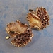 Gold Topaz Rhinestone Earrings BSK Vintage