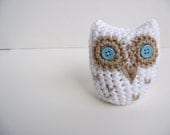 Crochet Hoot Owl Toy PATTERN - Great Party Favor for Graduation - INSTANT DOWNLOAD