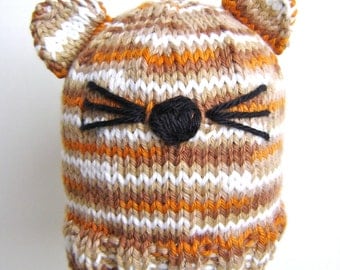 Calico Kitty Hat Pattern - Advanced Beginner Pattern Great for Boy or Girl - INSTANT DOWNLOAD