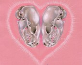 Badger Skull Illustration 5"x7" Giclee Mini Print - "'Til Death"