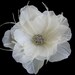 Bridal Collection Petites -- BELLA -- Gardenia Light Ivory Flower Hair Clip Fascinator With Ostrich Feathers