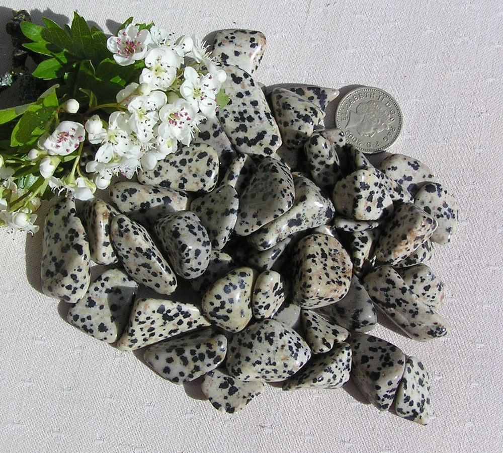 10 Dalmatian Jasper Crystal Tumblestones