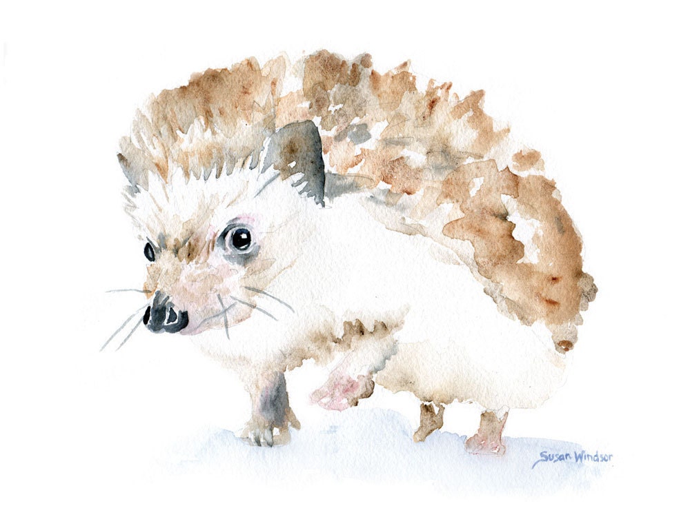 Hedgehog Watercolor Note Card Set