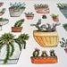 Potted Succulents 8.5x11" Print