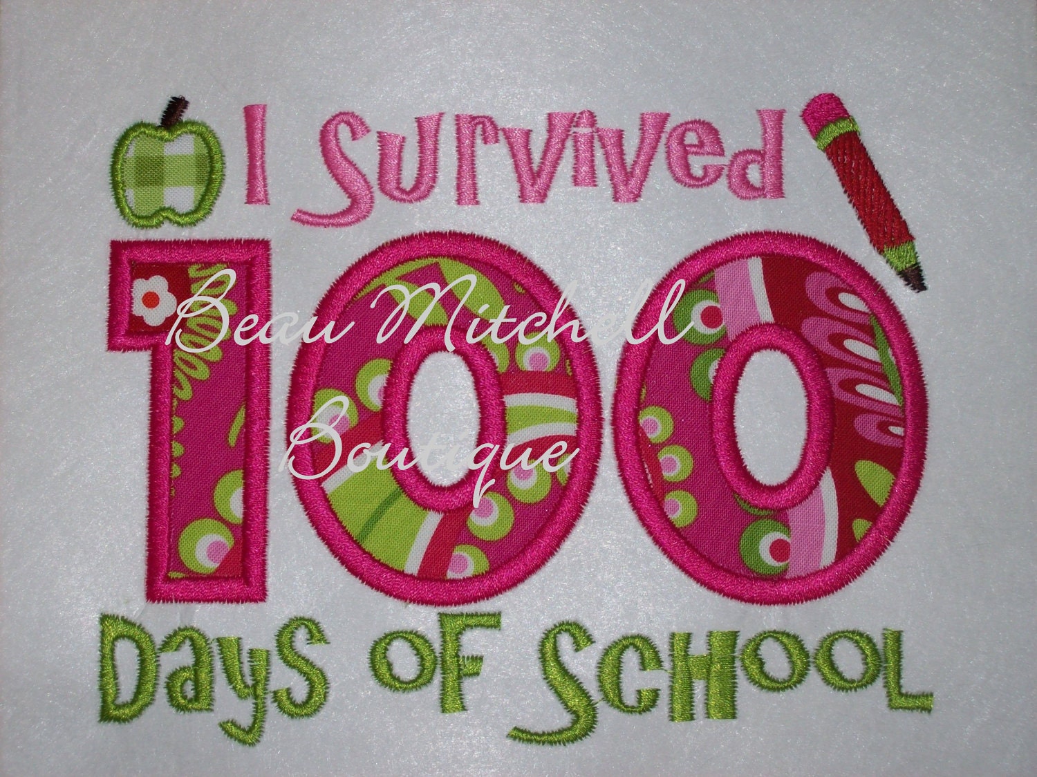 survived 100 days of school