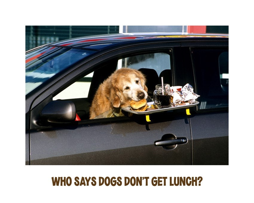 Who Says Dogs Don't Get Lunch - 8 x 10 Print