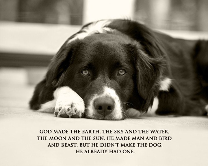 God Didn't Make The Dog, He Already Had One - 8 x 10 Print