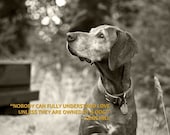 Nobody Can Fully Understand Love Unless They Are Owned By A Dog - 8 x 10 Print