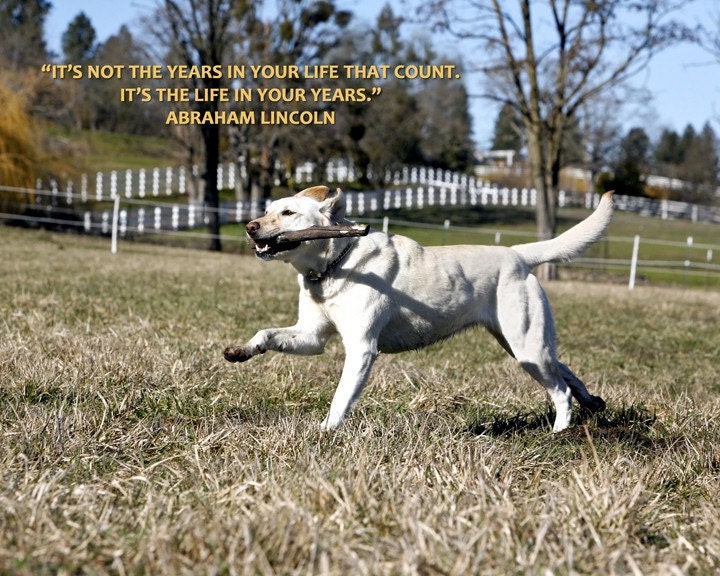 It's Not The Years In Your Life That Count - 8 x 10 Print
