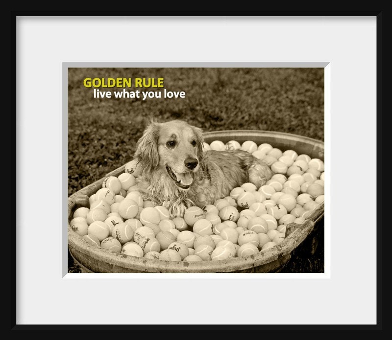 Golden Rule - Live What You Love (8 x 10 Print)