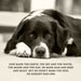 God Didn't Make The Dog, He Already Had One - 8 x 10 Print