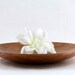 Hand Turned Wooden Cherry Plate/Dish