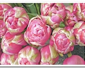 5x7 fine art photograph /// pink peonies /// nature photo by lesley sico