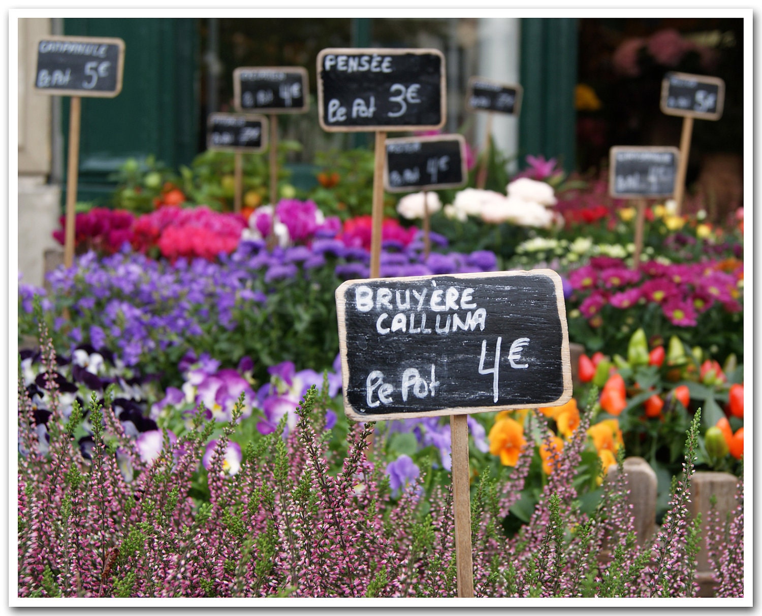 8x10 fine art photograph /// marché aux fleurs /// paris photo by lesley sico
