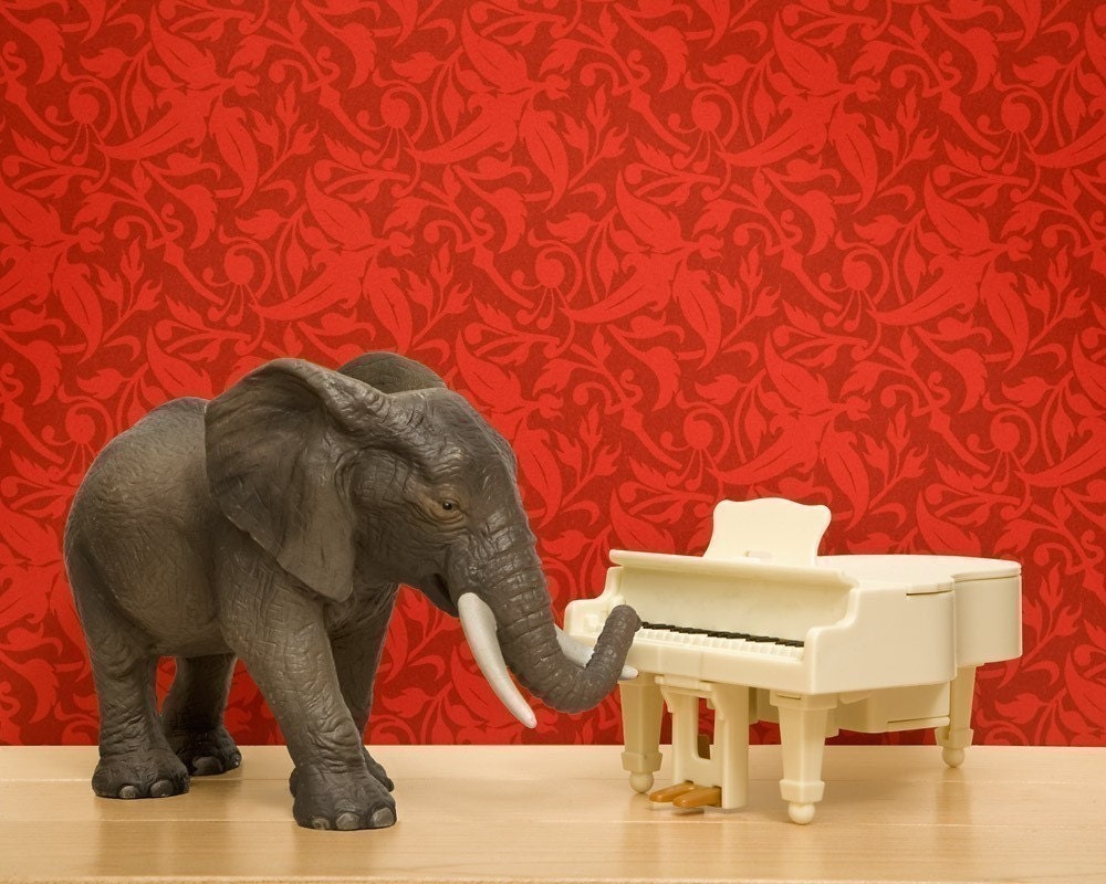 elephant art, bright red, music room, piano, animal print - The Elephant In The Room 8 x 10