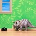 dinosaur art, triceratops, green, kids room decor - Not Quite Extinct 8 x 10