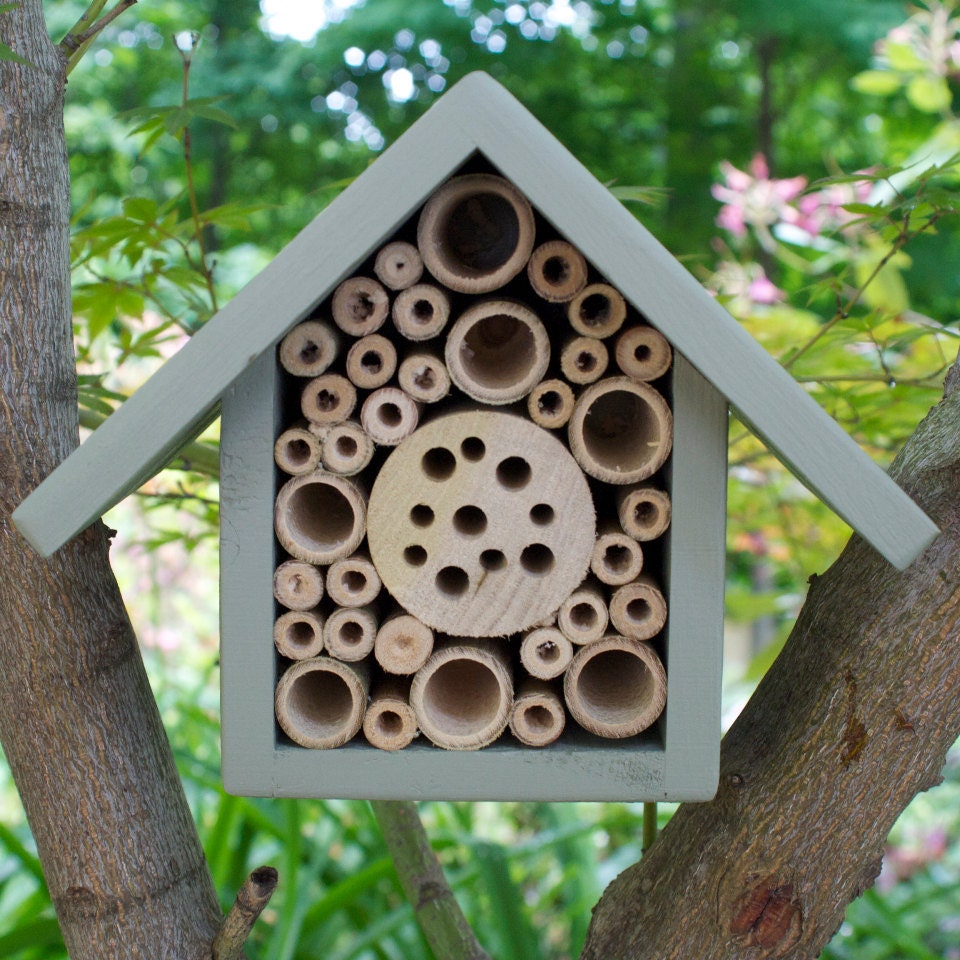 Bee House, Single Tier, in 'Mulberry'